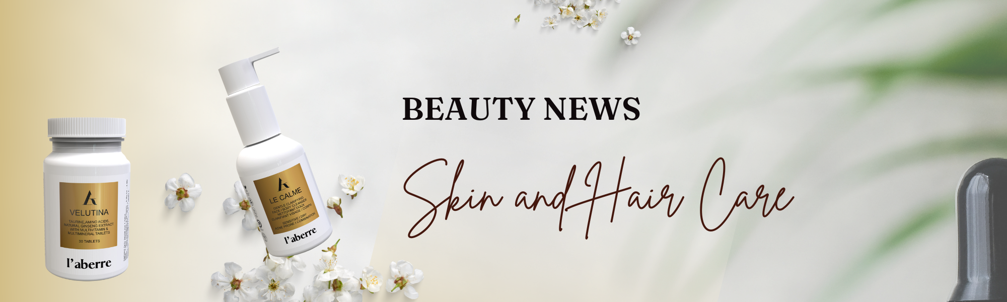 Special Offer Banner